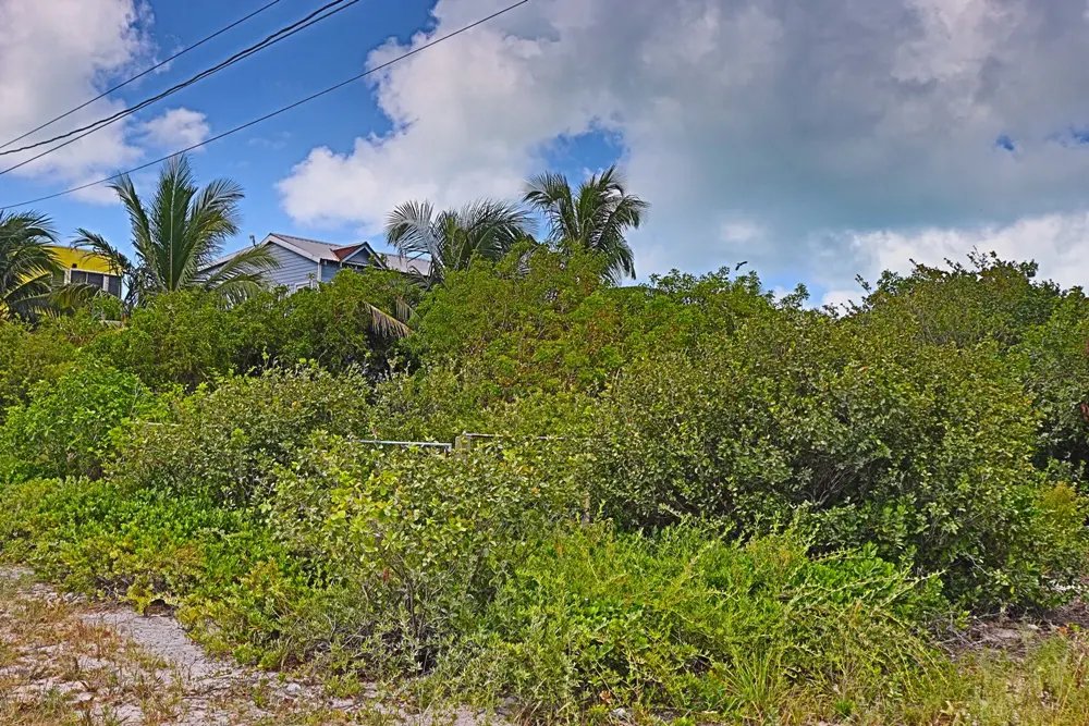 triiple_frontage_lot_004_caye_caulker_belize