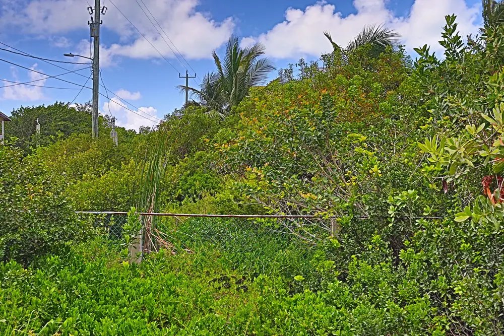 triiple_frontage_lot_007_caye_caulker_belize