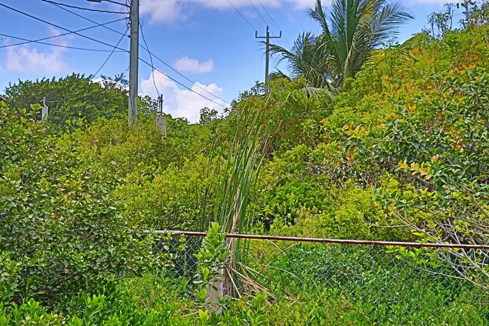 triiple_frontage_lot_009_caye_caulker_belize