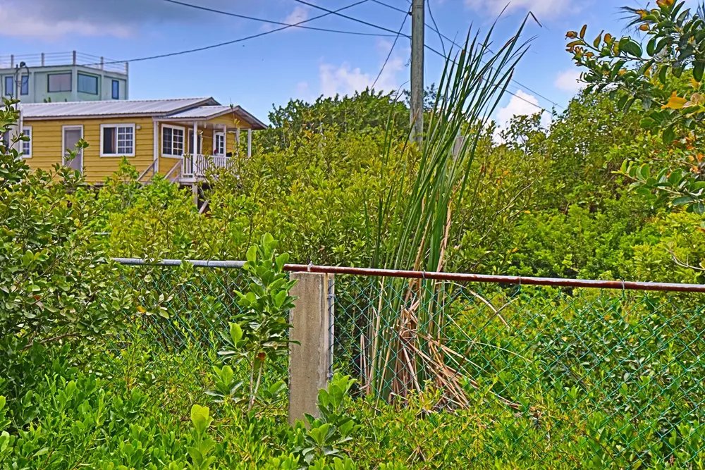 triiple_frontage_lot_010_caye_caulker_belize