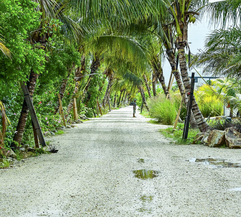 walkway_web