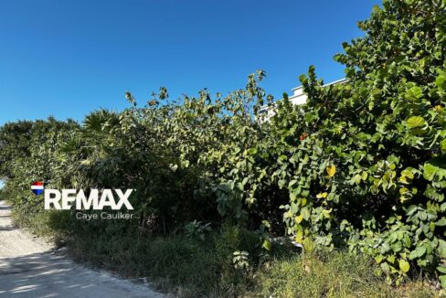 1278-west-side-of-parcel