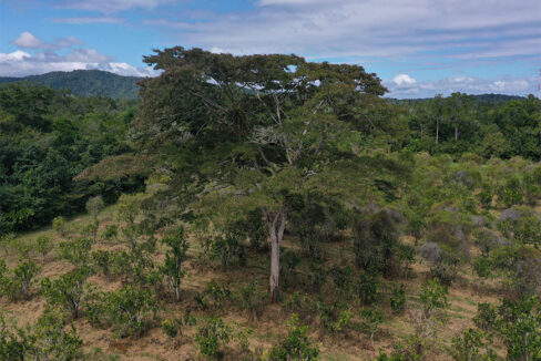 15acres3