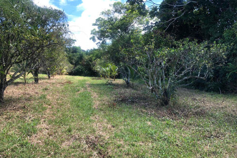 15acres4