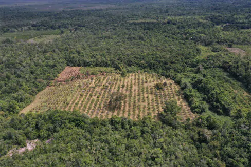 15acres5