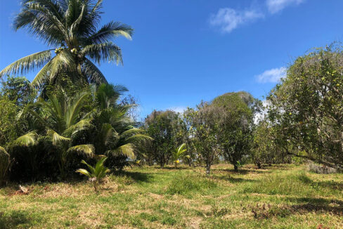 15acres6