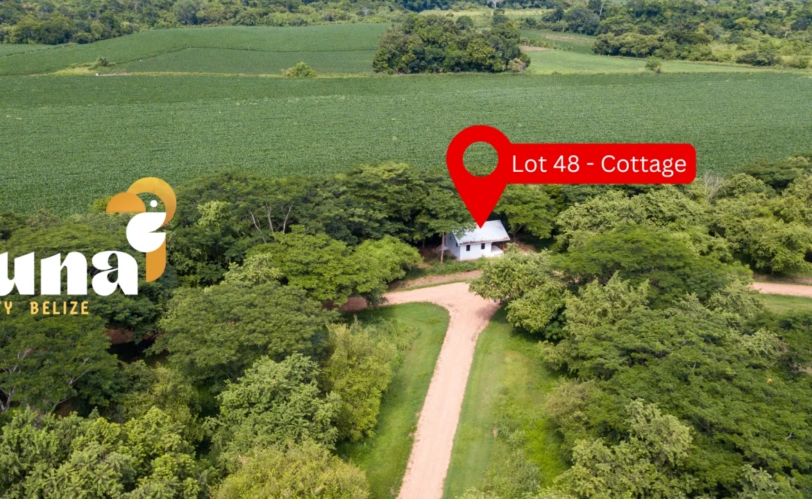 CG-Cottage-Lot-48-Drone-looking-to-farm-2-1170x785