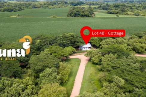 CG-Cottage-Lot-48-Drone-looking-to-farm-2-1170x785