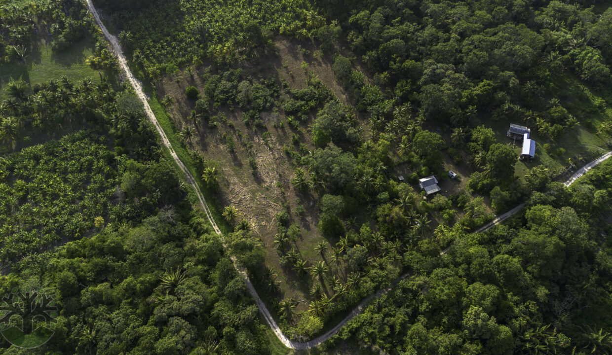 DJI_0284-HDR