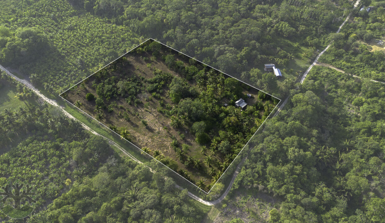DJI_0287-HDR-Outline