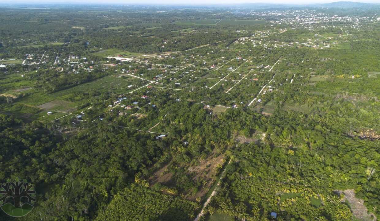DJI_0308-HDR