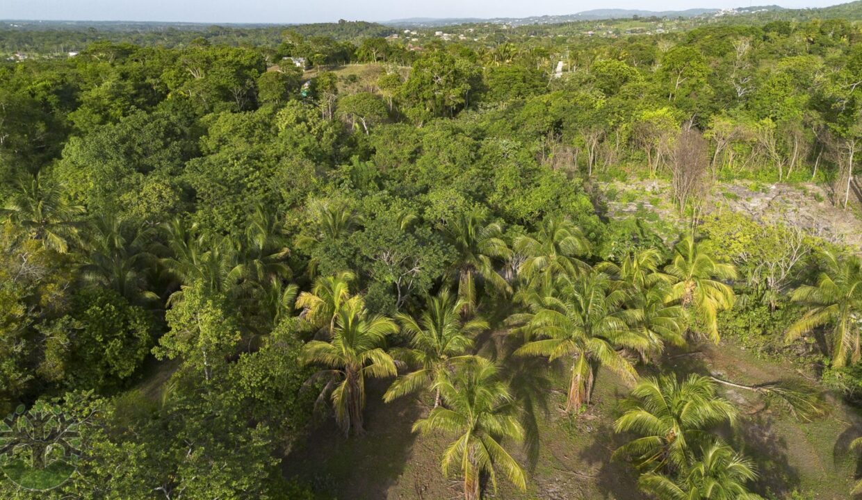 DJI_0348-HDR