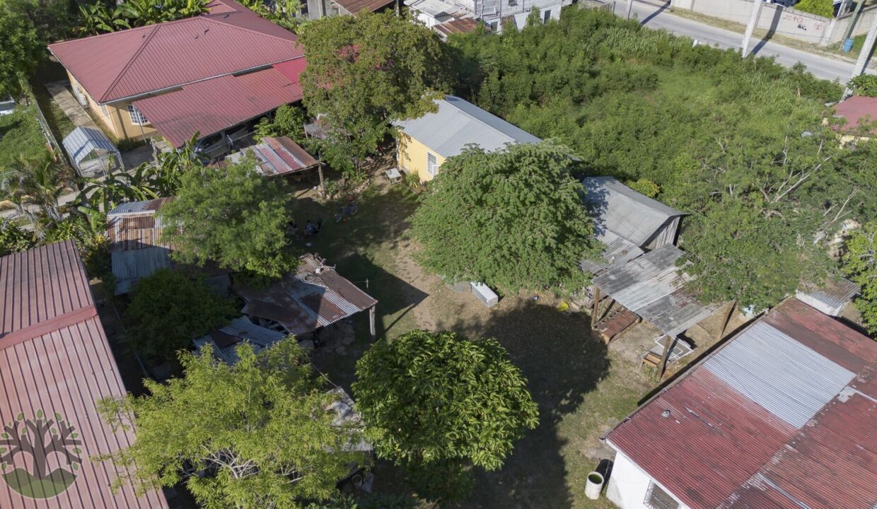 DJI_0442-HDR