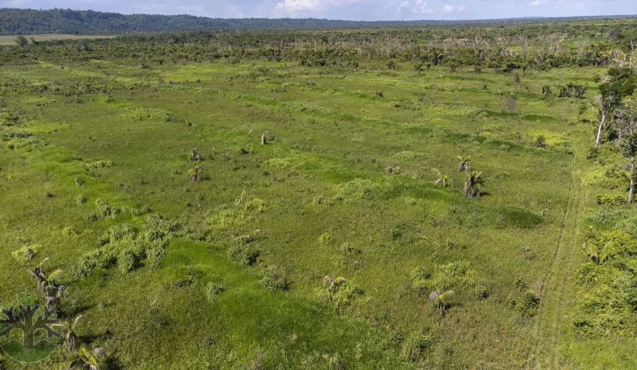 DJI_0614-HDR