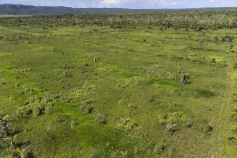 DJI_0614-HDR