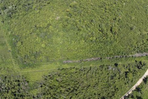 DJI_0638-HDR