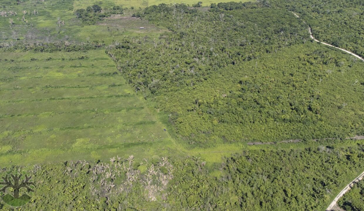 DJI_0644-HDR