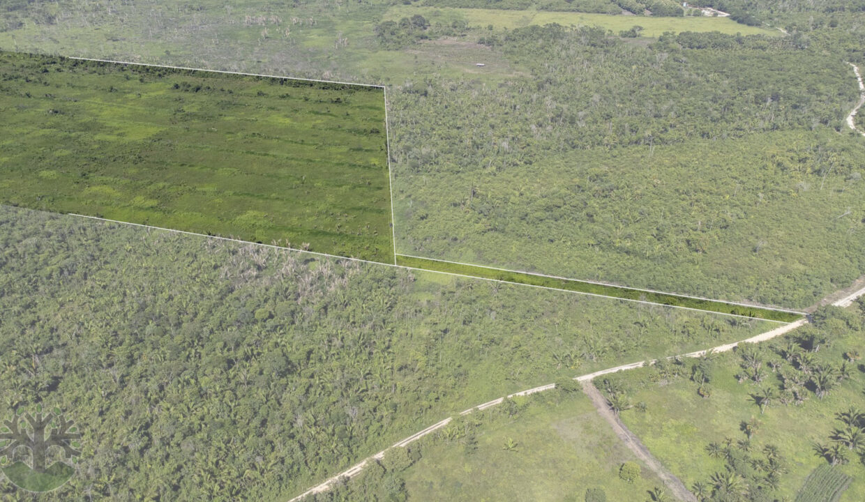 DJI_0647-HDR-Outline