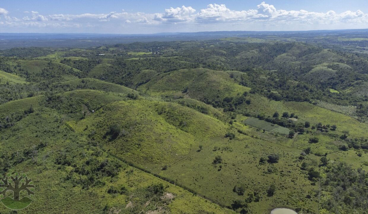 DJI_0662-HDR