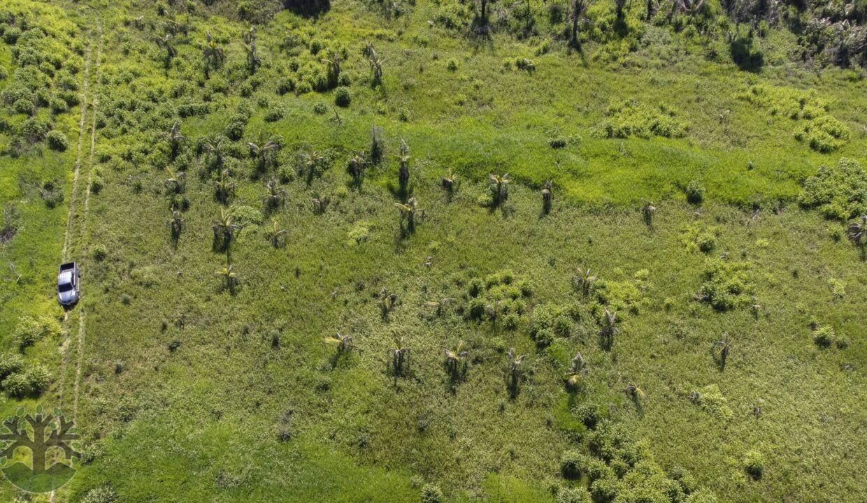 DJI_0672-HDR