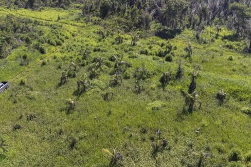 DJI_0675-HDR