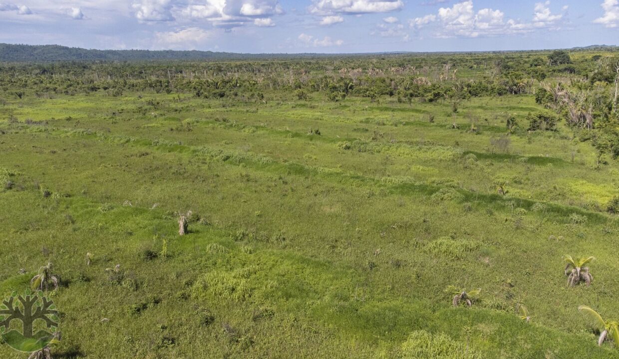 DJI_0681-HDR