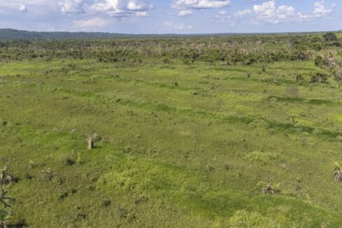 DJI_0681-HDR
