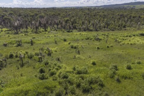DJI_0687-HDR