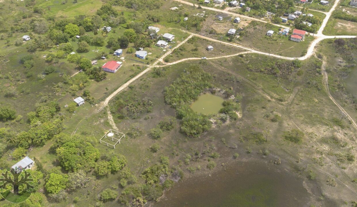 DJI_0692