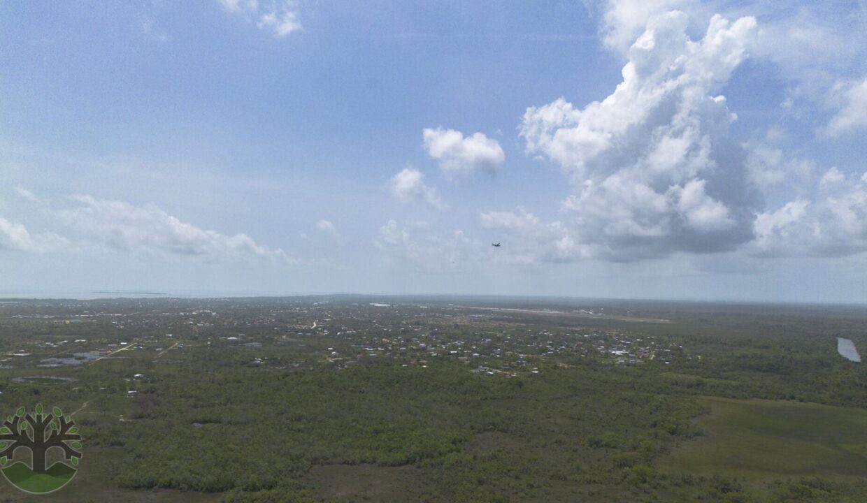 DJI_0735