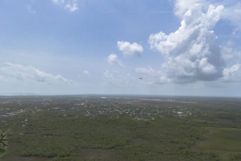 DJI_0735