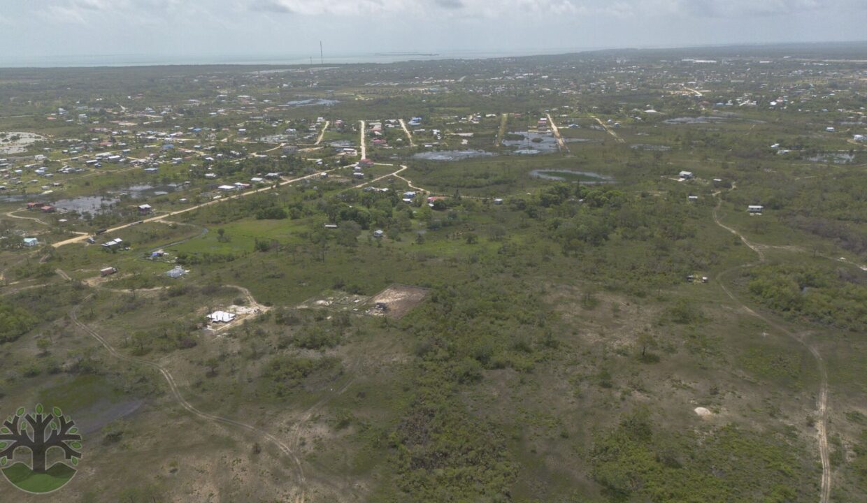 DJI_0738