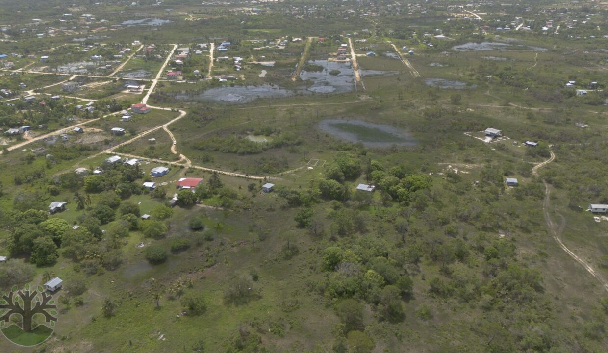 DJI_0740