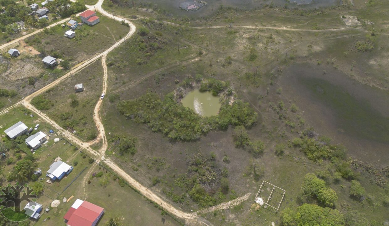 DJI_0744