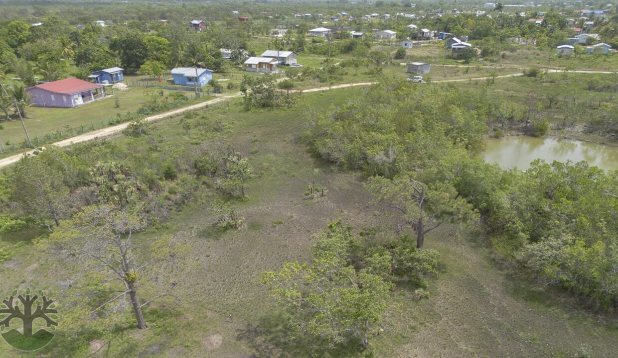 DJI_0750