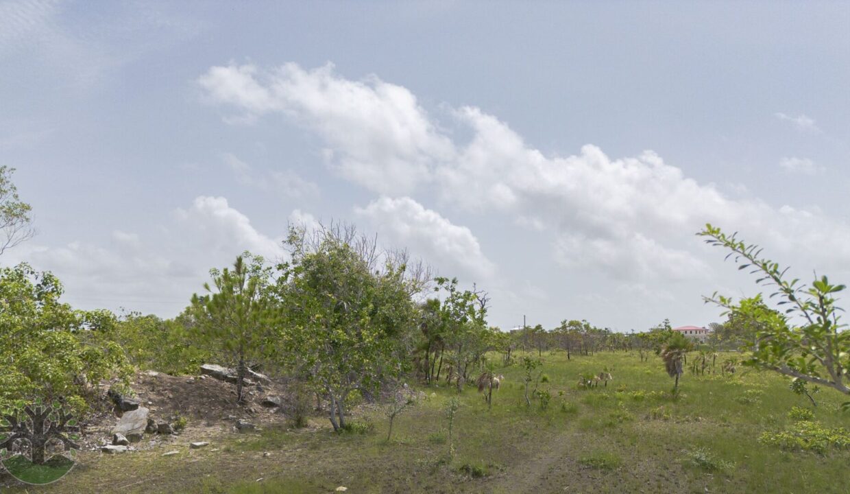 DJI_0754