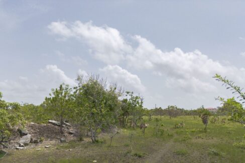 DJI_0754