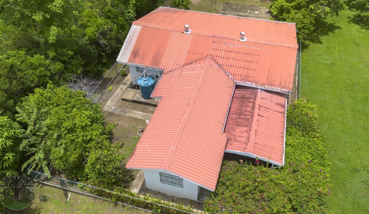 DJI_0787