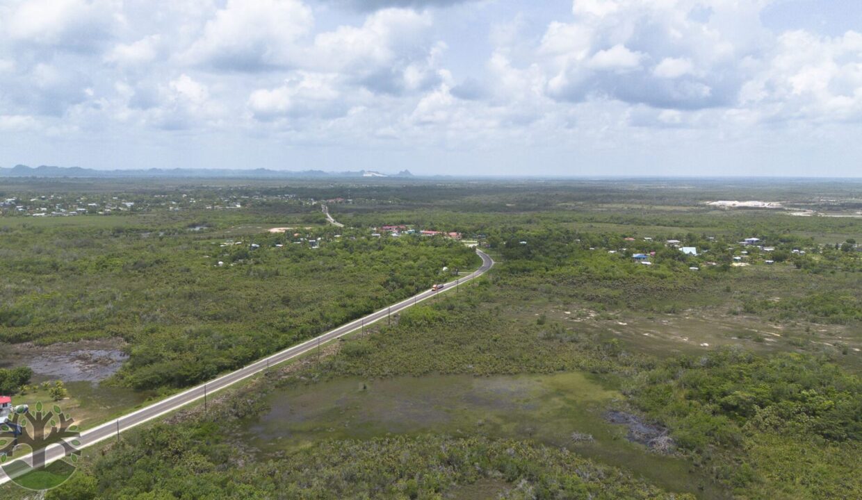 DJI_0794