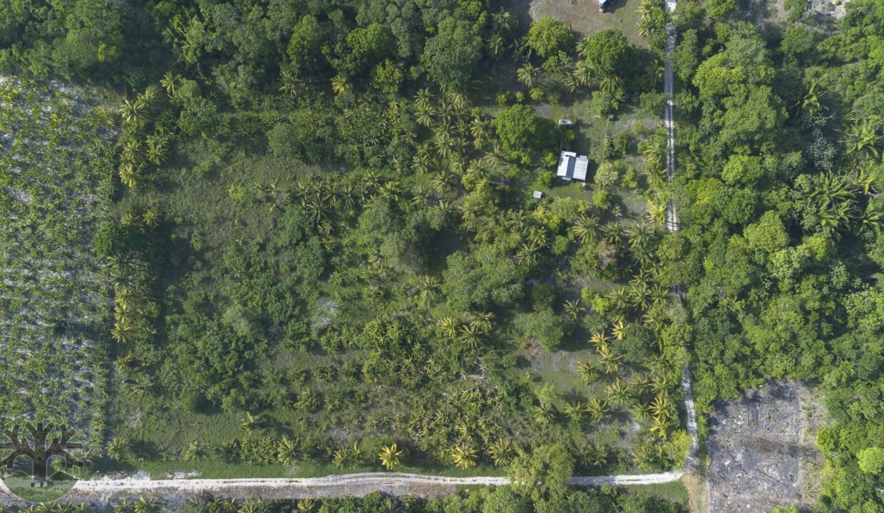 DJI_0967-HDR
