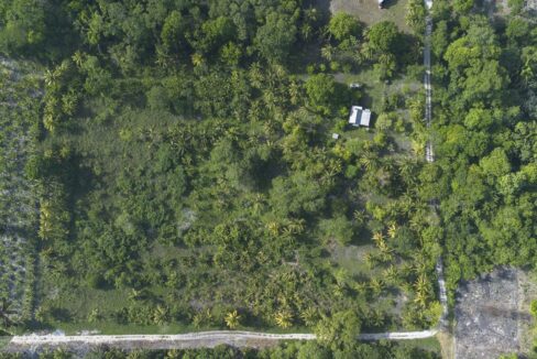 DJI_0967-HDR