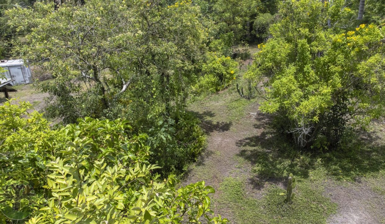 DJI_0983-HDR