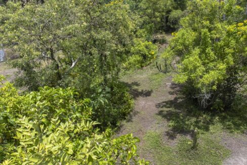 DJI_0983-HDR