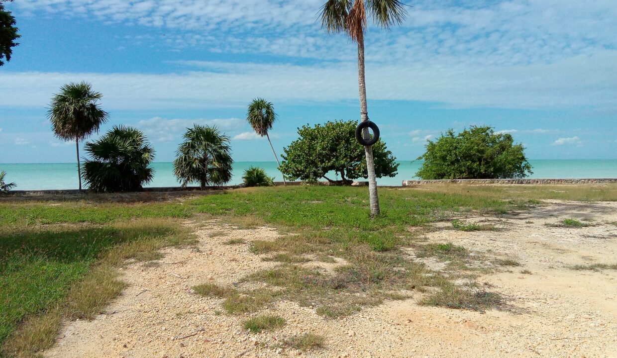 IMG_20231020_140536_168