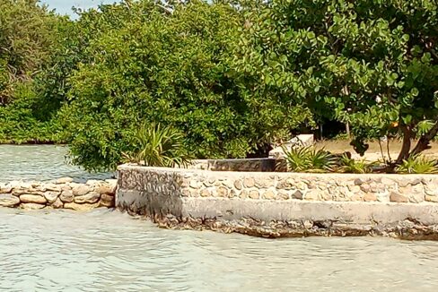 IMG_20231020_140638_553