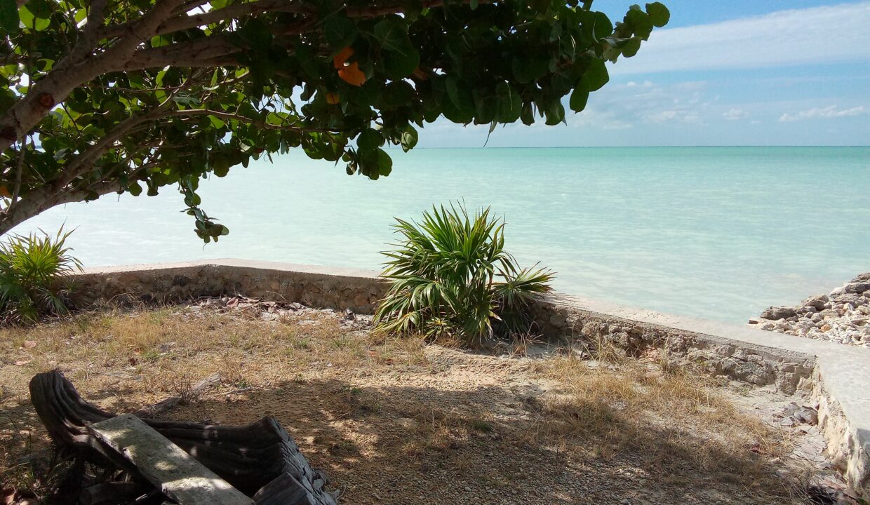 IMG_20231020_140752_885