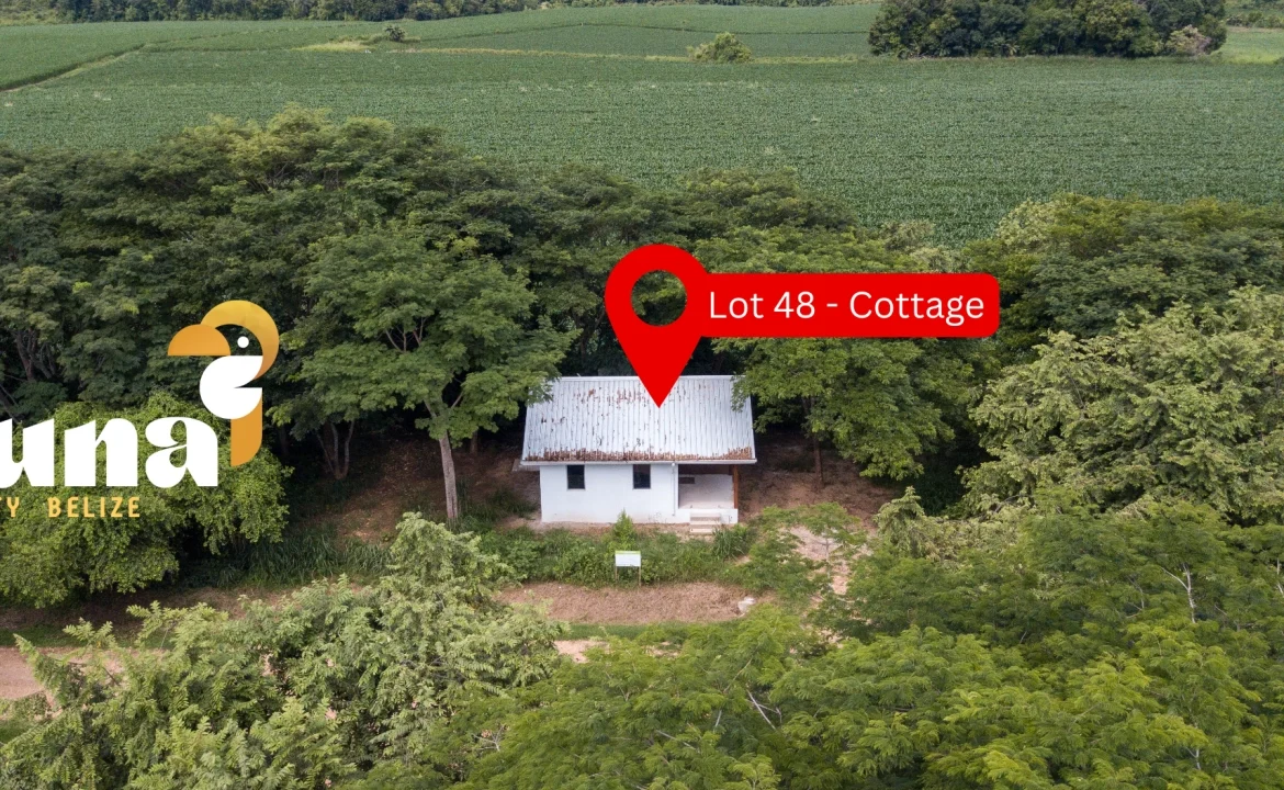 Lot-48-Cottage-from-Road-1-1170x785