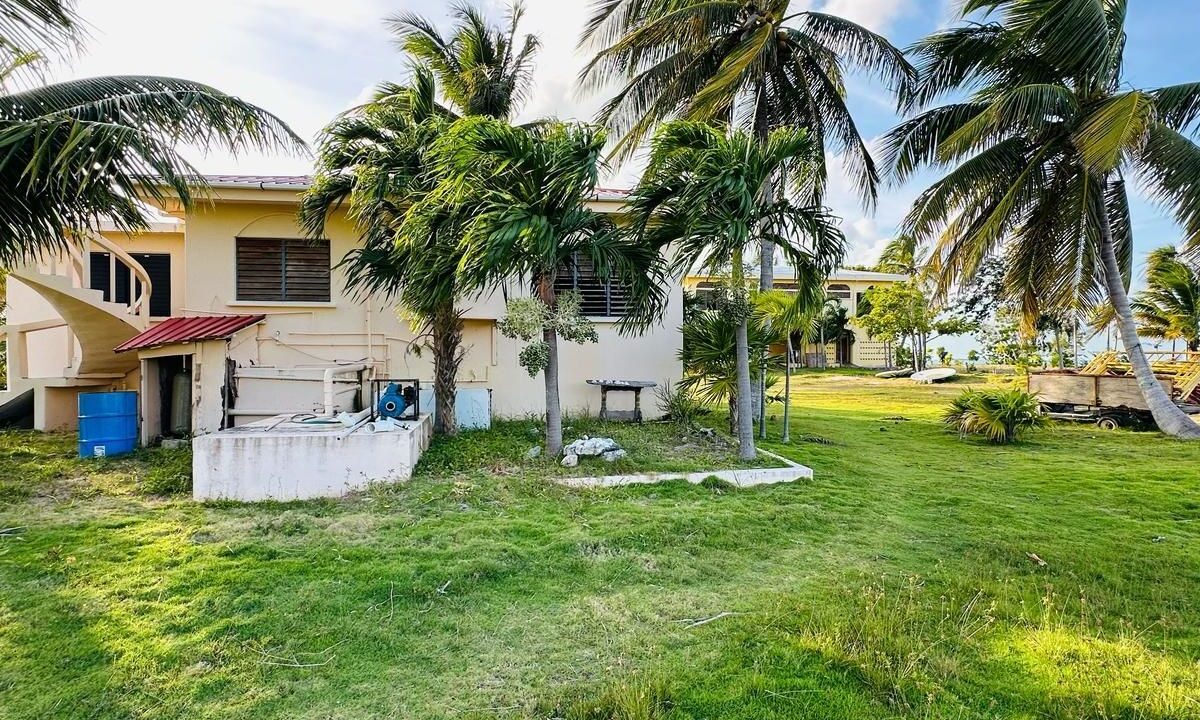 SOUTH-HOUSE-
