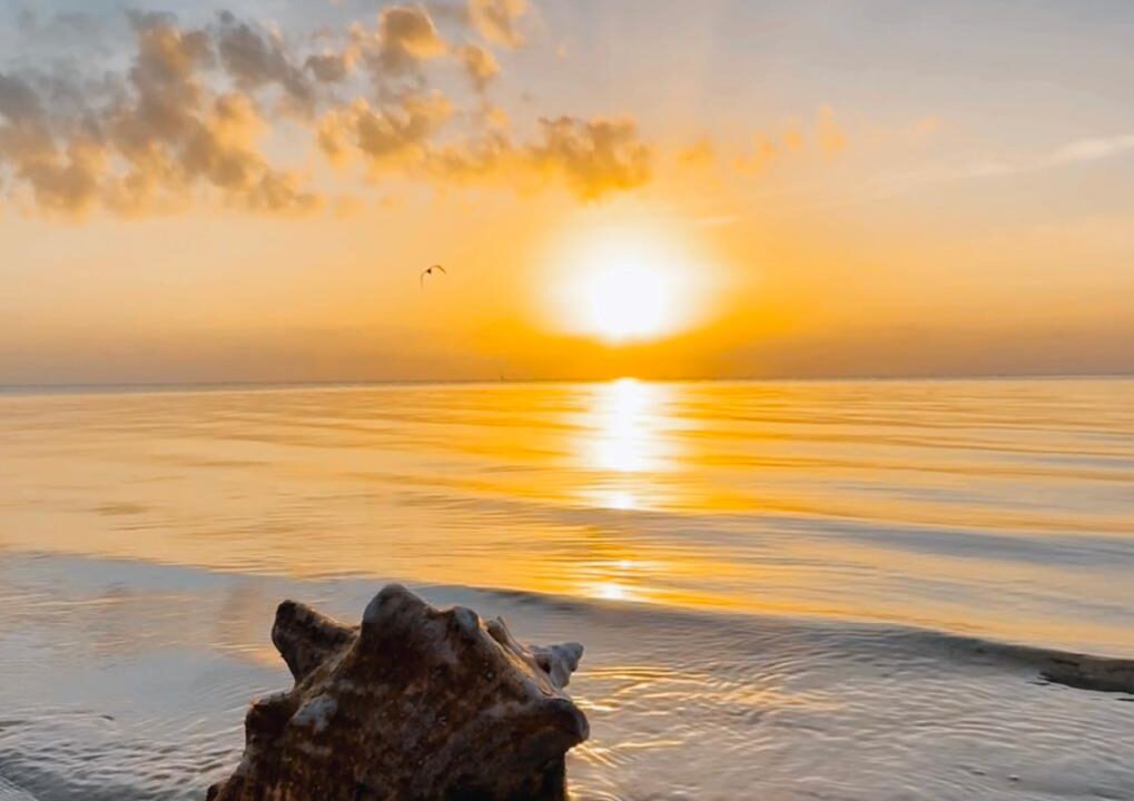 Mangata Villas – A Luxurious Adults-Only Beachfront Retreat with Moon Bar and Main House on Ambergris Caye, Belize