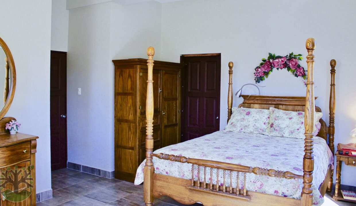 bed_back_ground_c